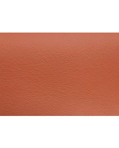 Shelly Firestone Free Leather Swatch Sample
